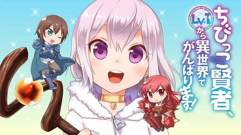 ちびっこ賢者、Lv.1から異世界でがんばります!の表紙画像