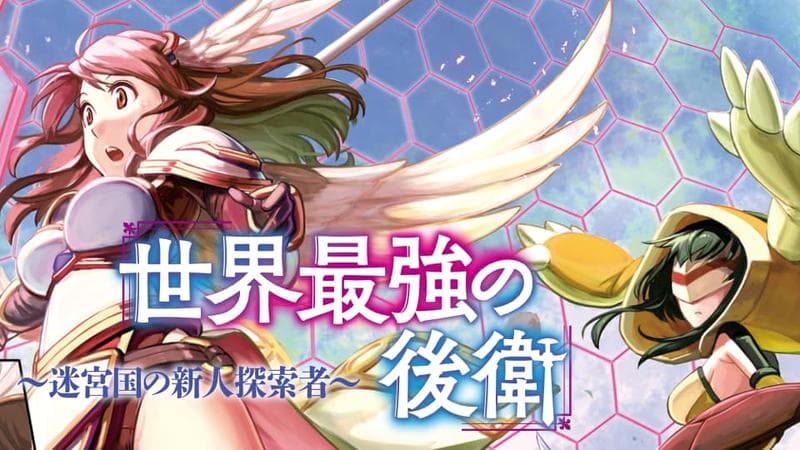 世界最強の後衛 ~迷宮国の新人探索者~の表紙画像