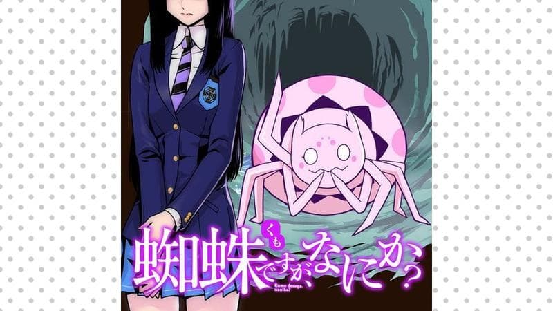 蜘蛛ですが、なにか?のサムネイル