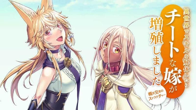 異世界でスキルを解体したらチートな嫁が増殖しました 概念交差のストラクチャーのサムネイル