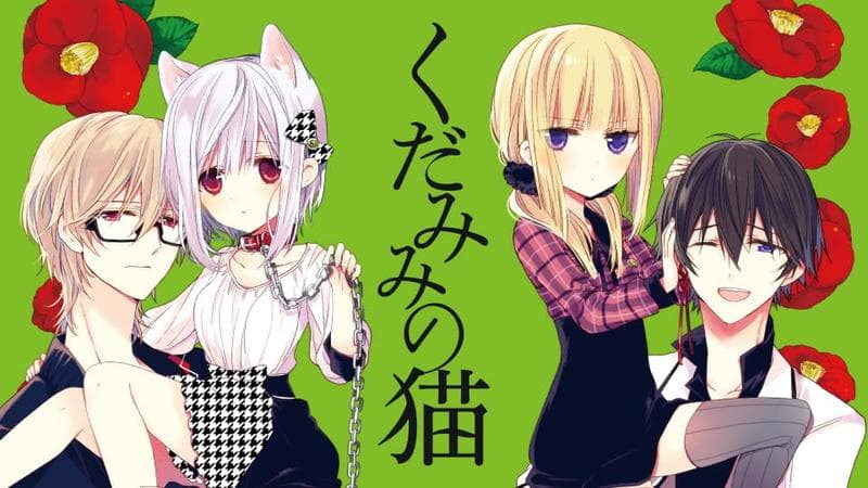 くだみみの猫のサムネイル