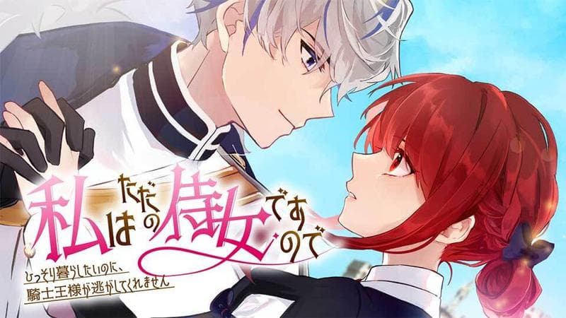 私はただの侍女ですので ひっそり暮らしたいのに、騎士王様が逃がしてくれませんのサムネイル