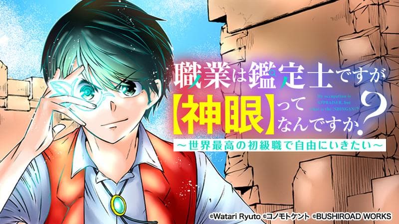 職業は鑑定士ですが【神眼】ってなんですか? ~世界最高の初級職で自由にいきたい~のサムネイル