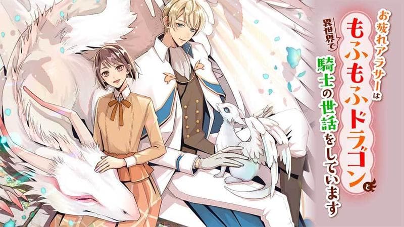 お疲れアラサーは異世界でもふもふドラゴンと騎士の世話をしていますのサムネイル