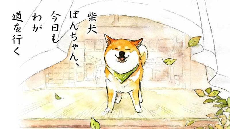 柴犬ぽんちゃん、今日もわが道を行くのサムネイル