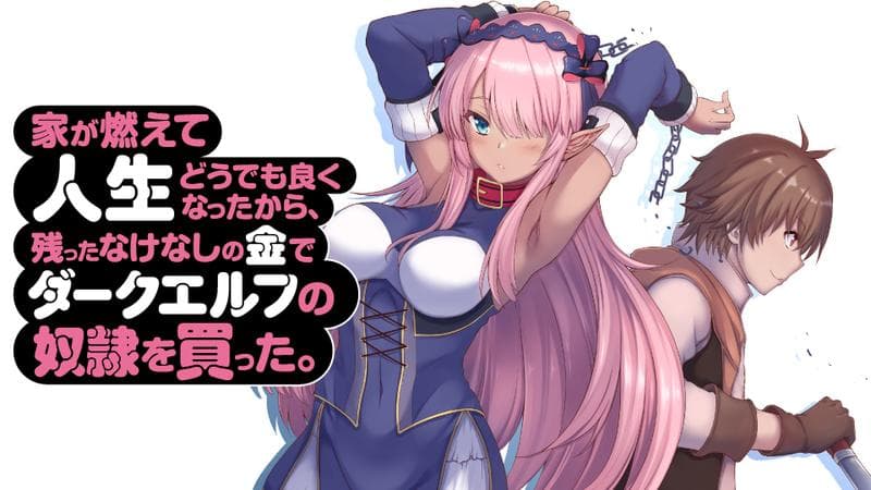 家が燃えて人生どうでも良くなったから、残ったなけなしの金でダークエルフの奴隷を買った。の表紙画像