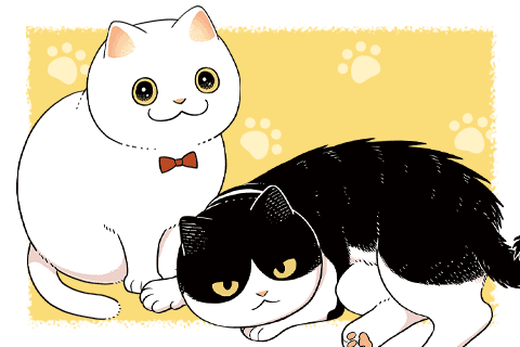 ツレ猫 マルルとハチの表紙画像